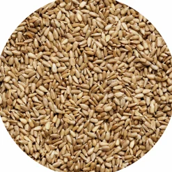 Fågelmat Granngården Solrosfrö Skalade Hink 5kg