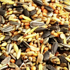 Fågelmat Granngården Vildfågelmix Premium 10kg