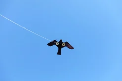 Fågelskrämma Silverline Drake Rovfågel