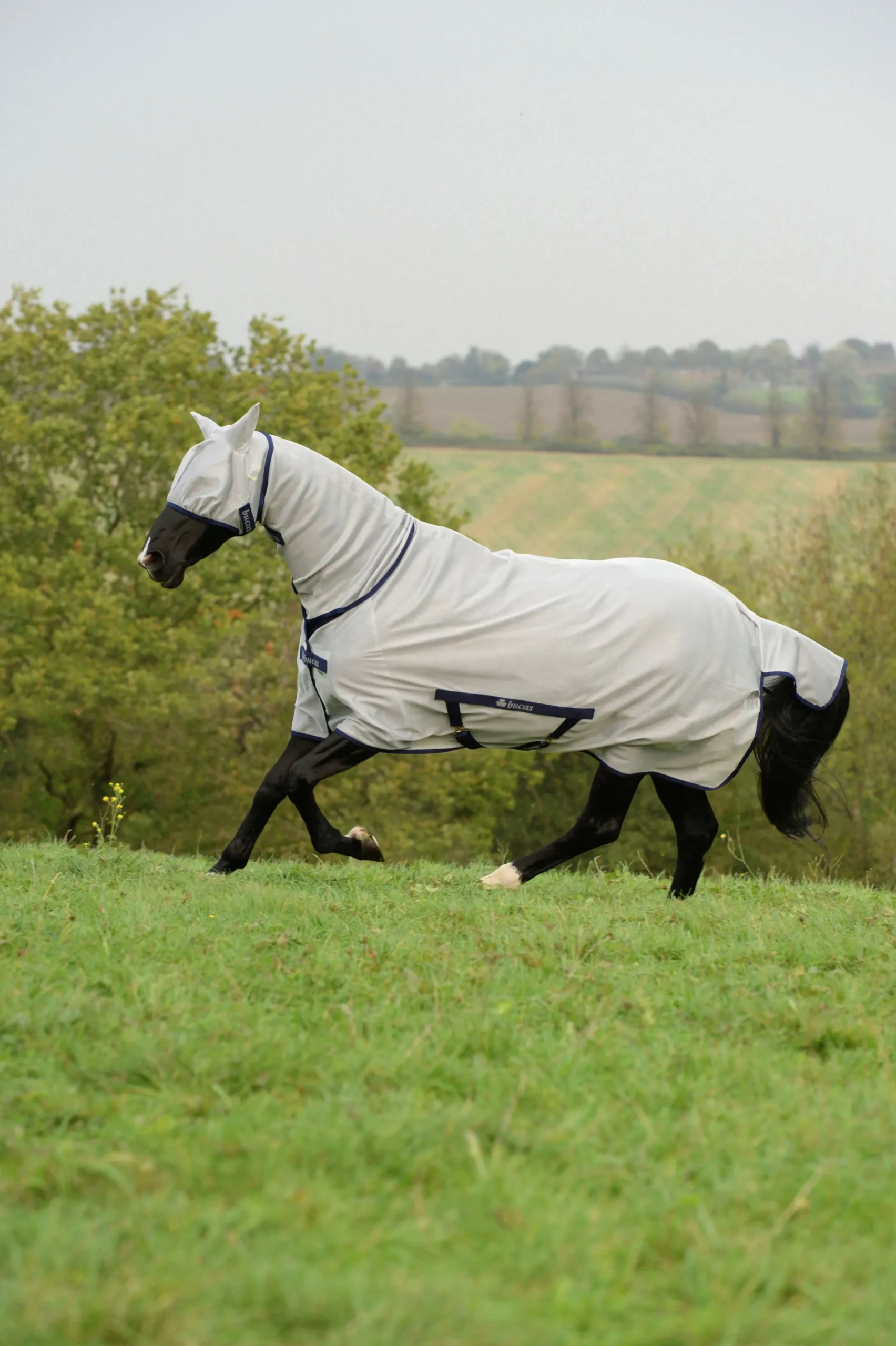 Flugtäcke Bucas Freedom Silver