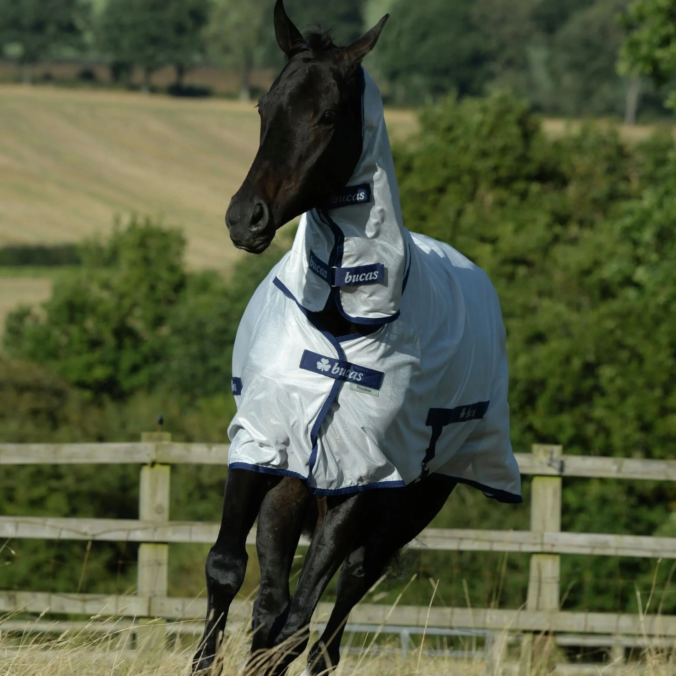 Flugtäcke Bucas Freedom Silver