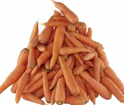 Foderråvara Morötter färska 5Kg