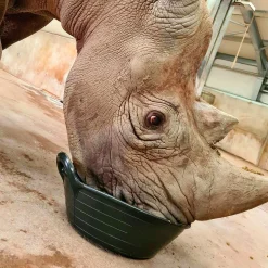 Foderskål Red Gorilla Svart 11L