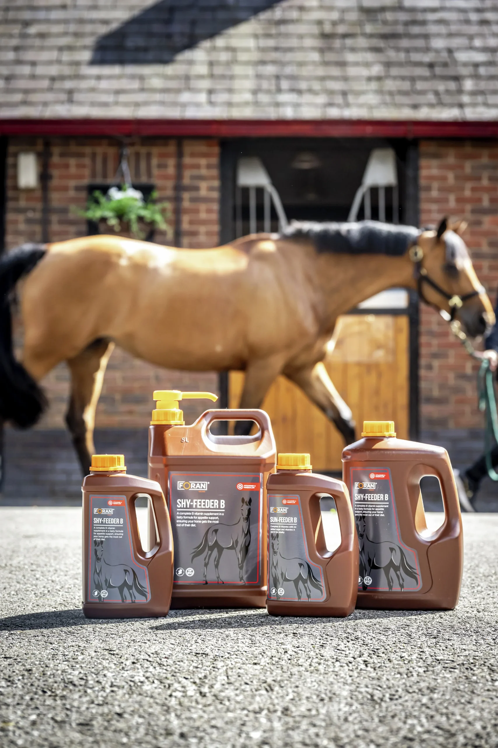 Fodertillskott Foran Equine Shy Feeder B-vitamin 1L