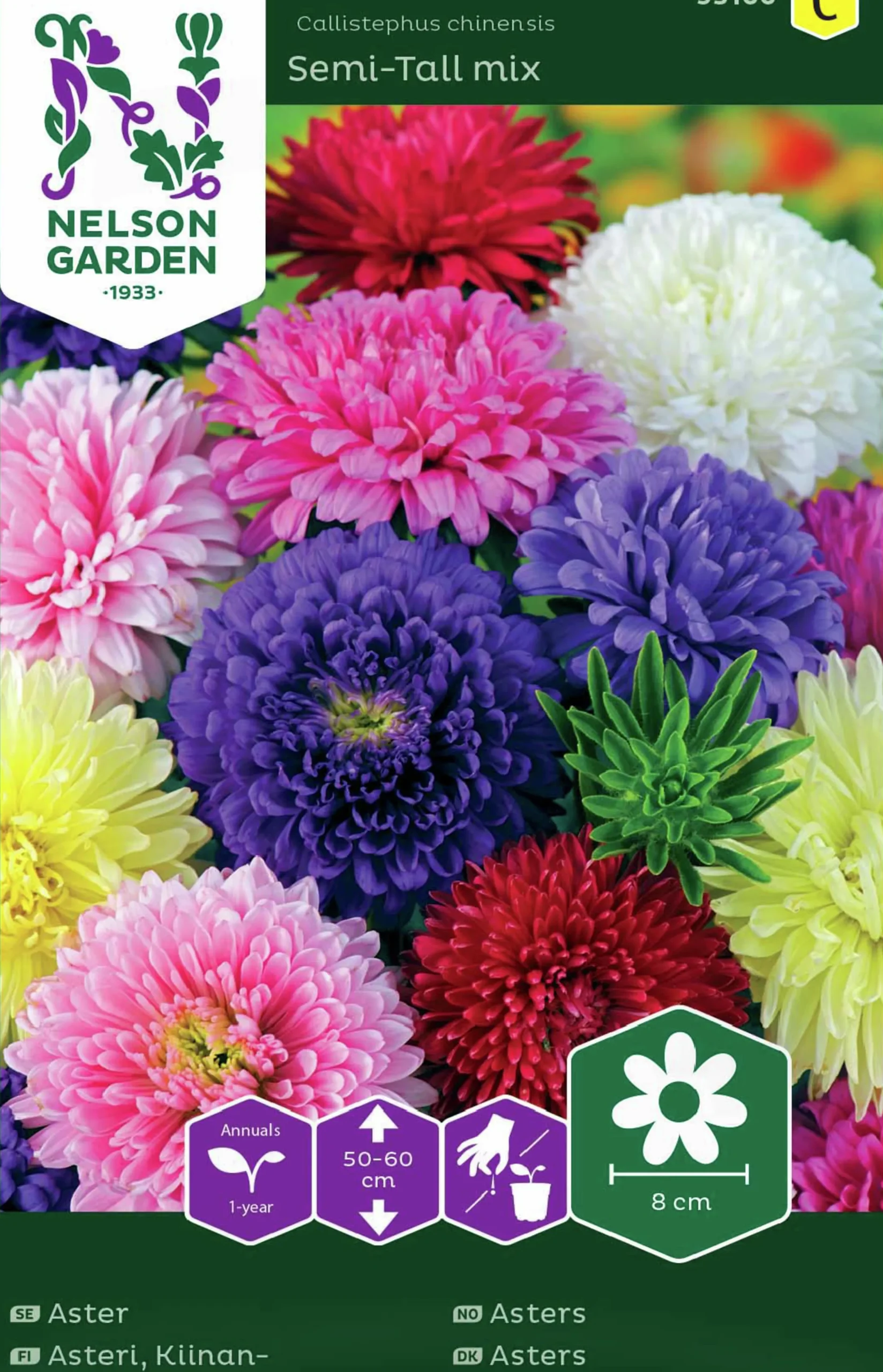 Fröer Nelson Garden Aster Dubbel Blandade färger