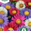 Fröer Nelson Garden Aster Enkel Blandade färger