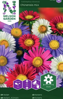 Fröer Nelson Garden Aster Enkel Blandade färger