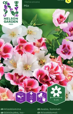 Fröer Nelson Garden Atlasblomma Blandade färger