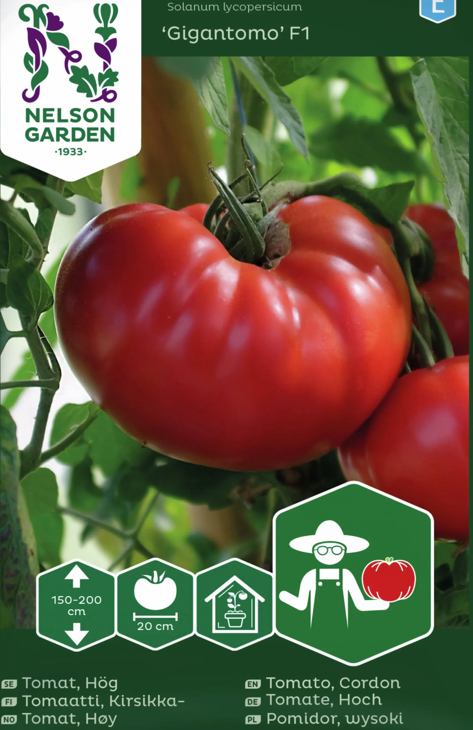 Fröer Nelson Garden Bifftomat Gigantomo F1 Hög