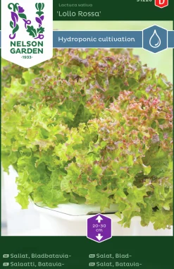 Fröer Nelson Garden Bladbatavia Lollo Rossa Hydroponisk