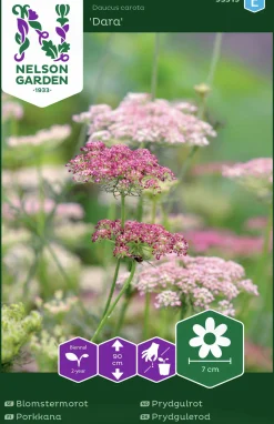 Fröer Nelson Garden Blomstermorot Dara