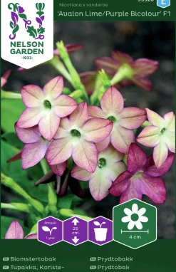 Fröer Nelson Garden Blomstertobak Avalon Lime/Purple F1