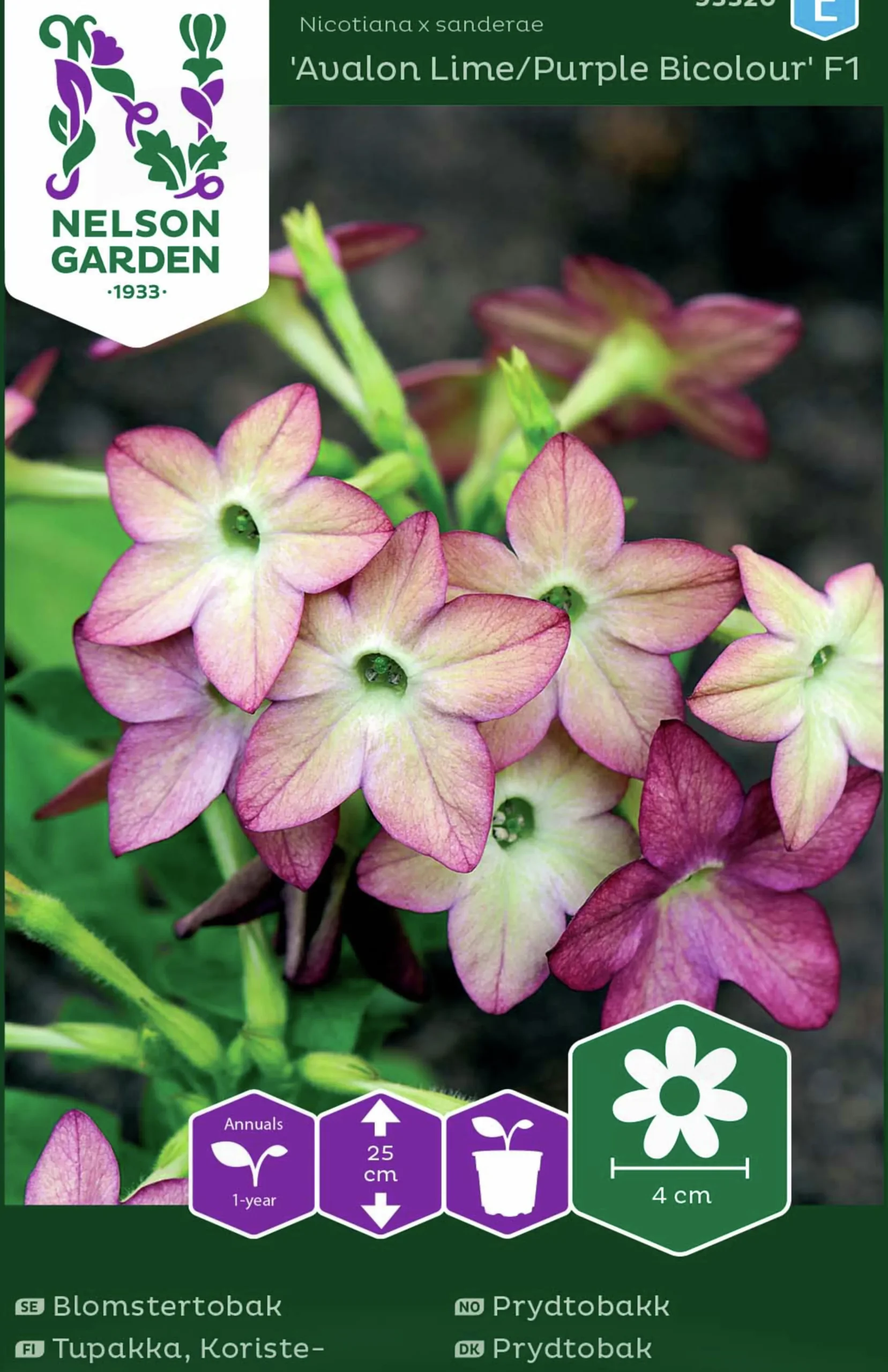 Fröer Nelson Garden Blomstertobak Avalon Lime/Purple F1