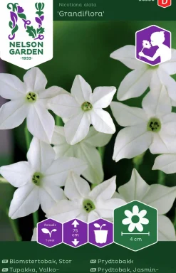 Fröer Nelson Garden Blomstertobak Stor Grandiflora Vit