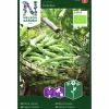 Fröer Nelson Garden Bondböna Express Organic