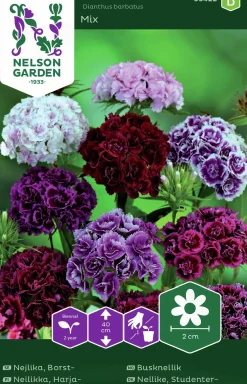 Fröer Nelson Garden Borstnejlika Dubbel