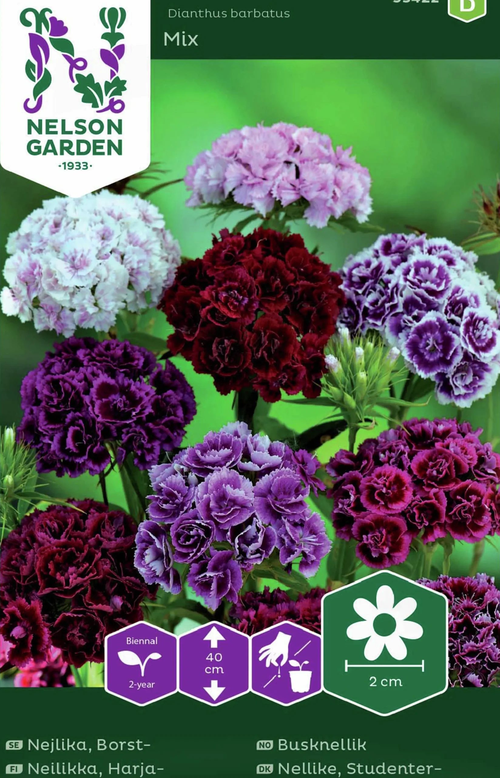 Fröer Nelson Garden Borstnejlika Dubbel