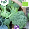 Fröer Nelson Garden Broccoli Calabrese Natalino