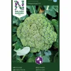 Fröer Nelson Garden Broccoli Mauricius F1