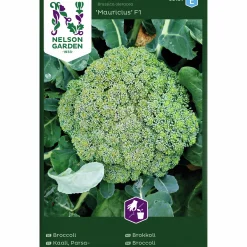Fröer Nelson Garden Broccoli Mauricius F1