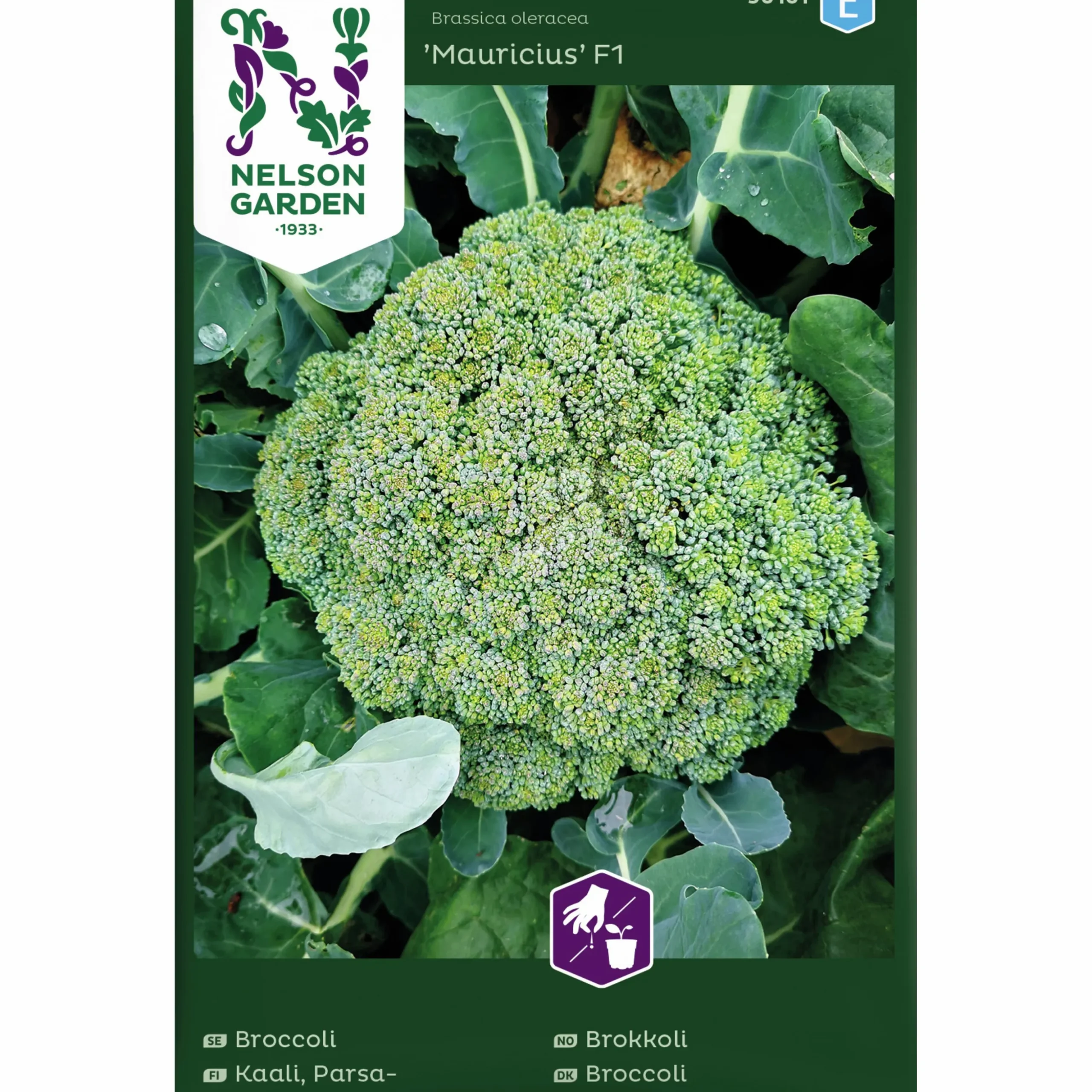 Fröer Nelson Garden Broccoli Mauricius F1