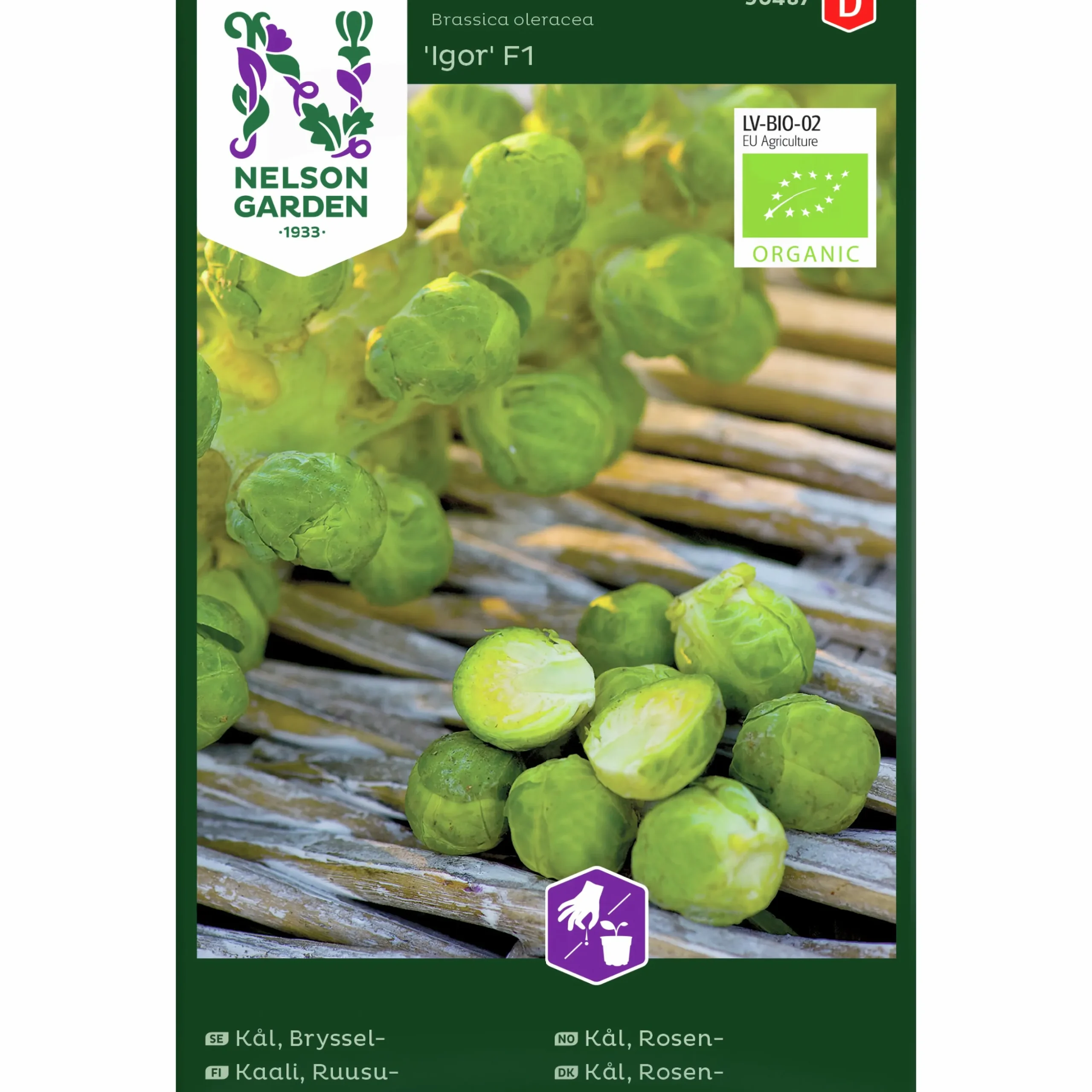 Fröer Nelson Garden Brysselkål Igor F1 Organic