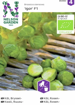 Fröer Nelson Garden Brysselkål Igor F1