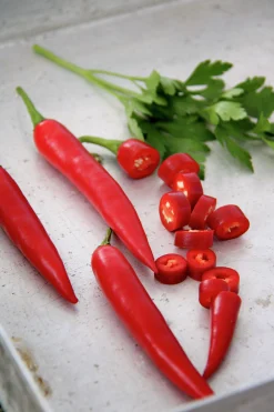 Fröer Nelson Garden Chilipeppar Damián Röd