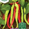 Fröer Nelson Garden Chilipeppar Lombardo