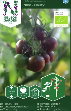 Fröer Nelson Garden Cocktailtomat Black Cherry Hög Organic