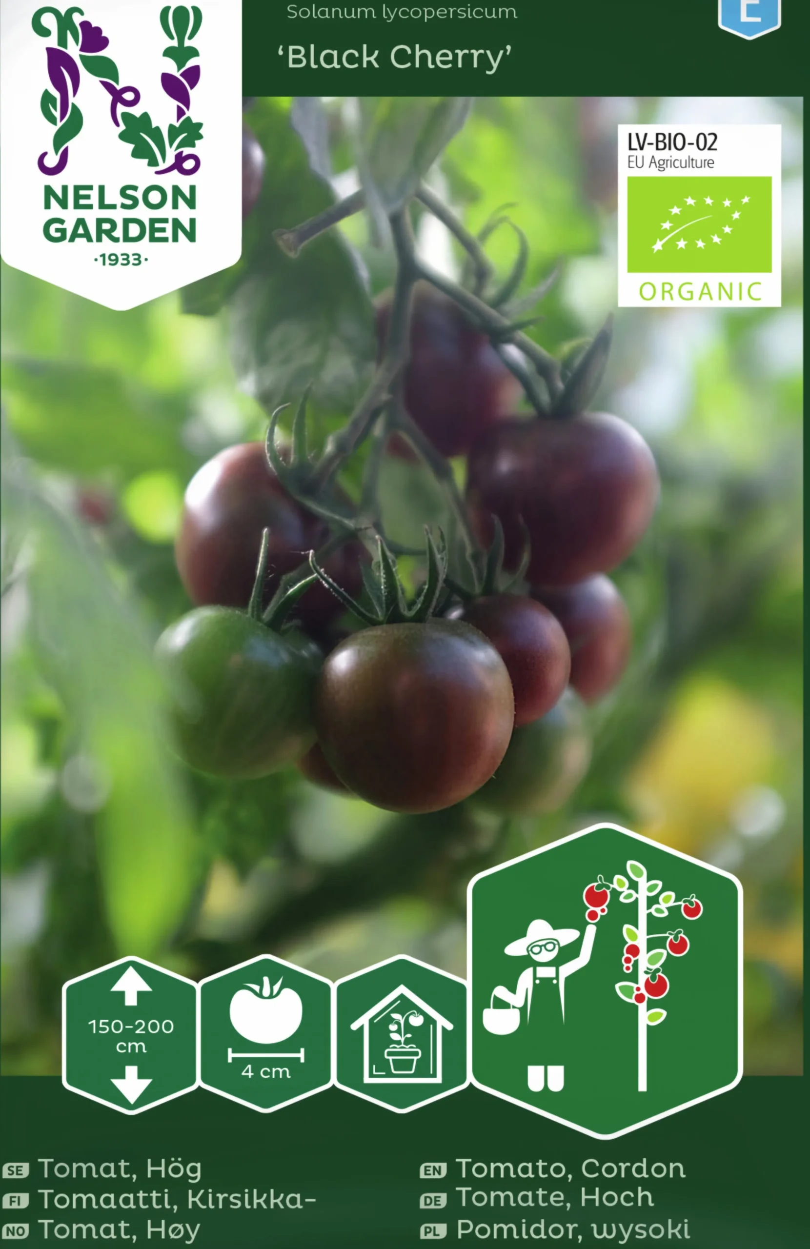 Fröer Nelson Garden Cocktailtomat Black Cherry Hög Organic