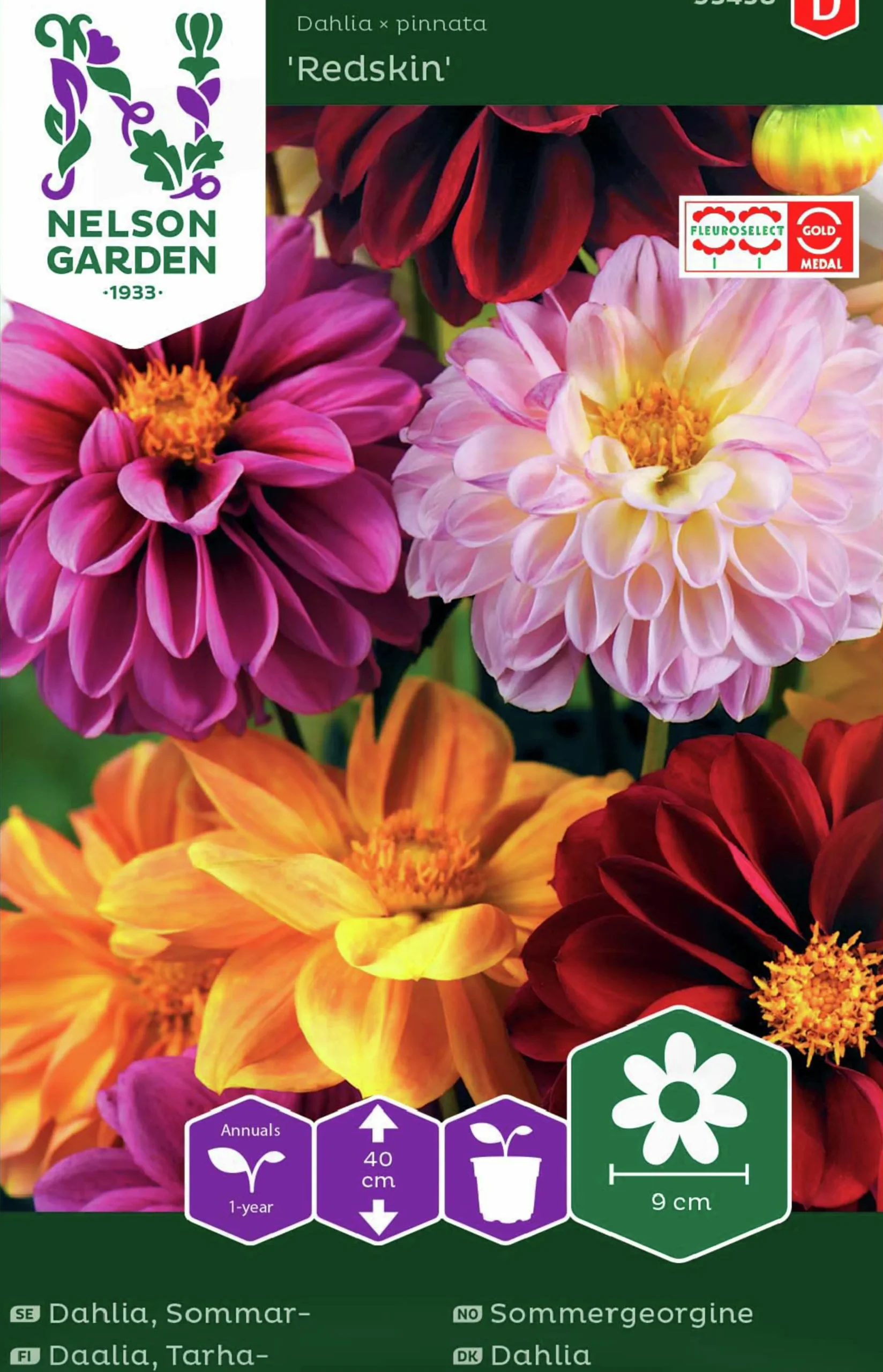 Fröer Nelson Garden Dahlia Sommar Redskin