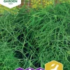 Fröer Nelson Garden Dill Como Big Pack