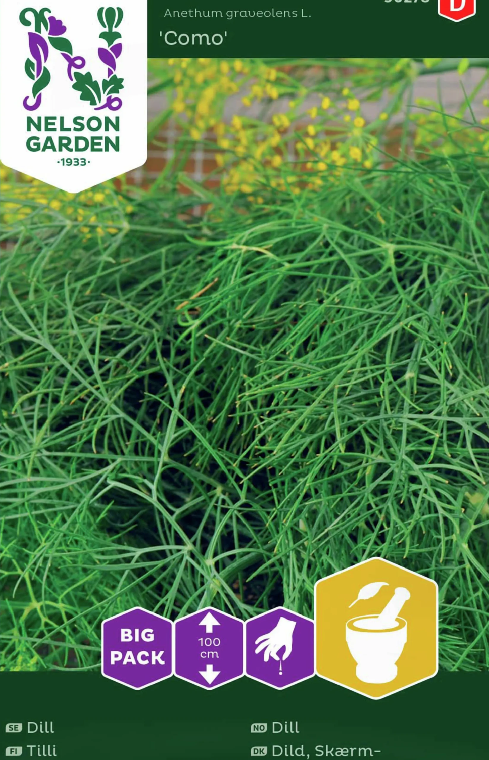Fröer Nelson Garden Dill Como Big Pack