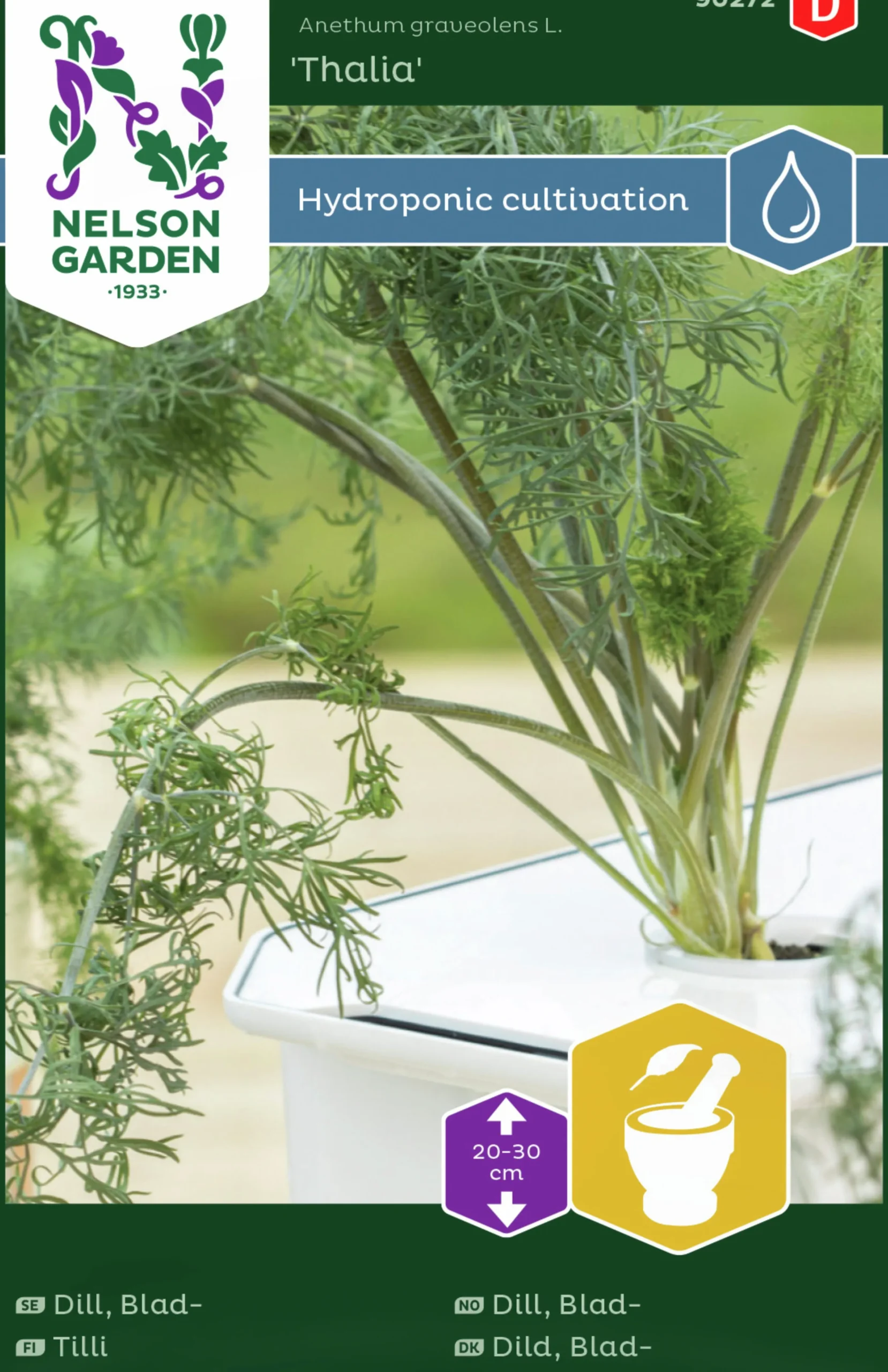 Fröer Nelson Garden Dill Thalia Hydroponisk odling