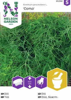 Fröer Nelson Garden Dill Vanlig Como Såband