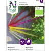 Fröer Nelson Garden Fireworks Mangold Organic
