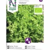 Fröer Nelson Garden Friséesallat Wallone Organic