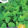 Fröer Nelson Garden Grekisk oregano