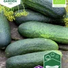 Fröer Nelson Garden Gurka Frilands Profi F1 Organic