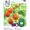 Fröer Nelson Garden Hög Tomat Bronzy Organic