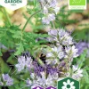 Fröer Nelson Garden Honungsfacelia Organic Blå