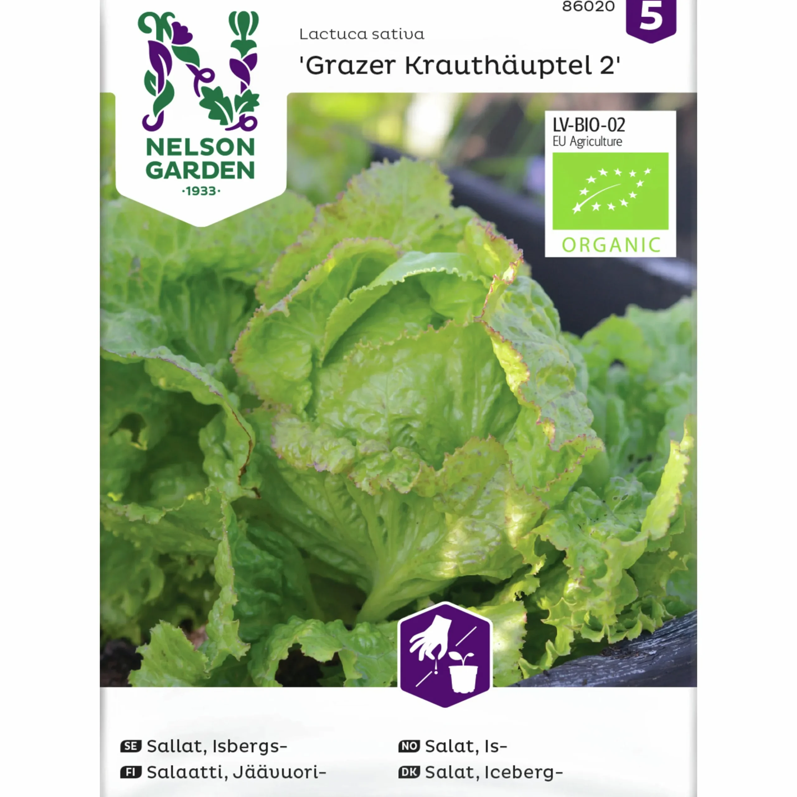 Fröer Nelson Garden Isbergssallat Grazer Krauthäuptel 2 Org