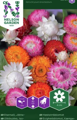 Fröer Nelson Garden Jätteeternell Blandade färger