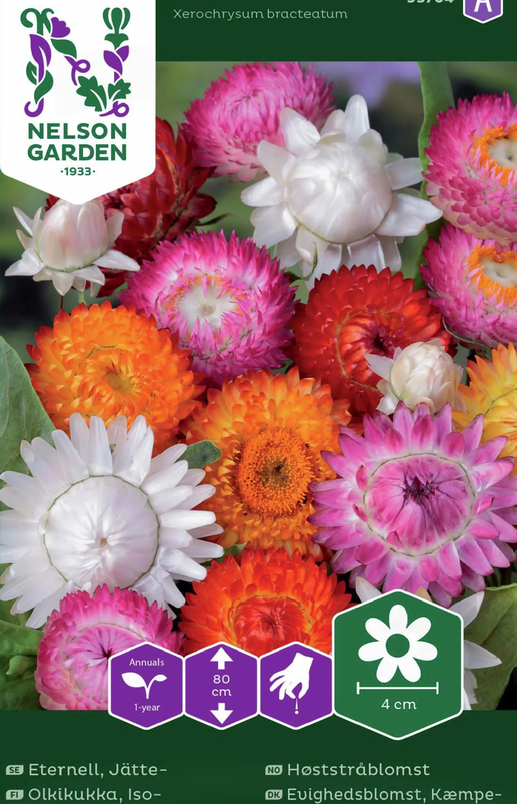Fröer Nelson Garden Jätteeternell Blandade färger