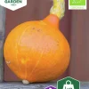 Fröer Nelson Garden Jättepumpa Uchiki Kuri Organic