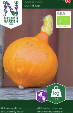 Fröer Nelson Garden Jättepumpa Uchiki Kuri Organic