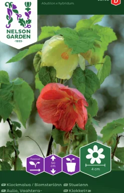 Fröer Nelson Garden Klockmalva