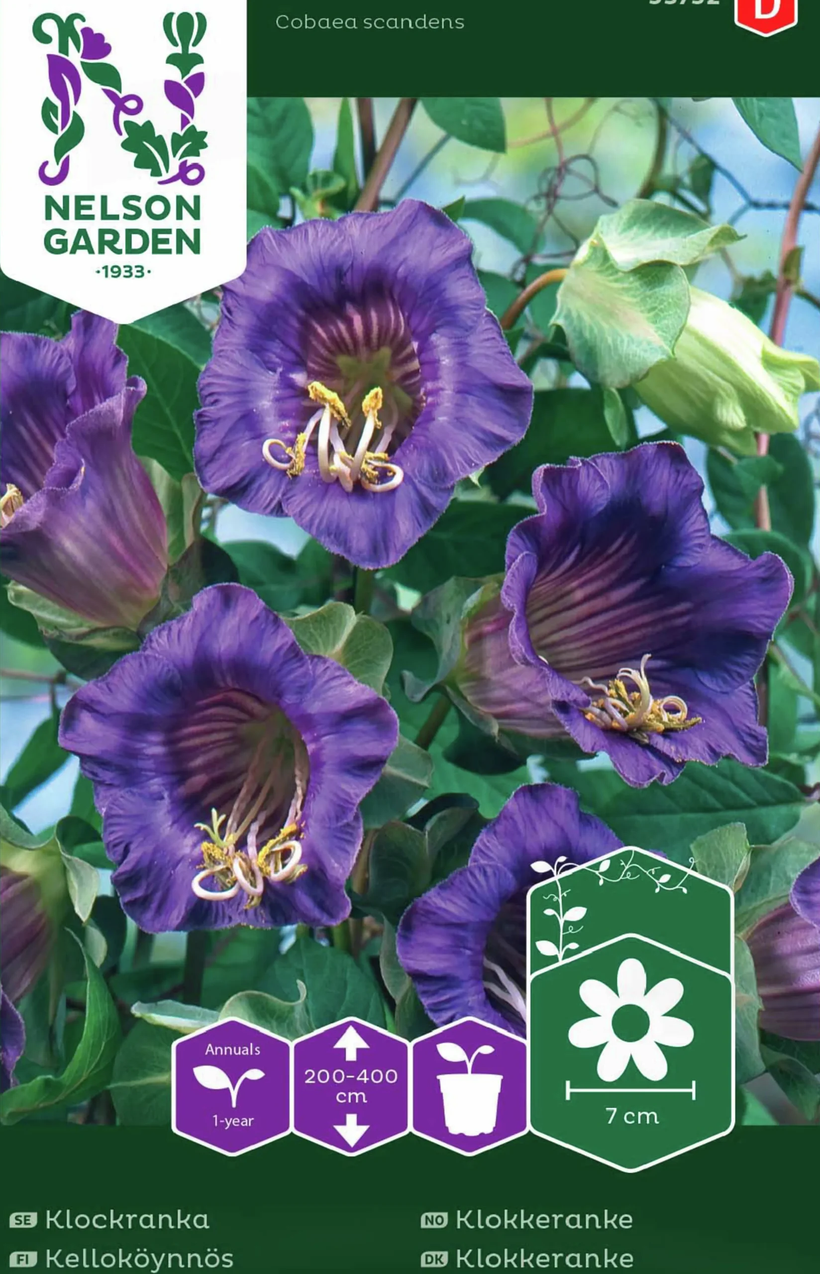 Fröer Nelson Garden Klockranka Blå