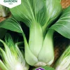 Fröer Nelson Garden Kål Pak Choi Summer Breeze F1